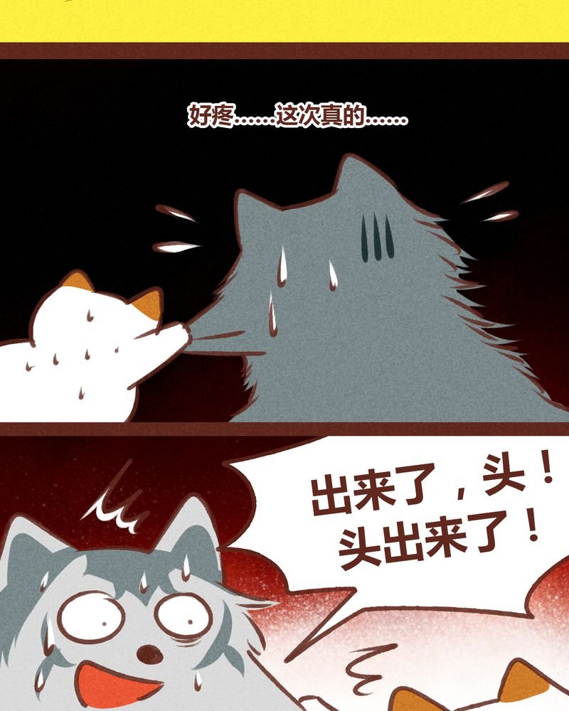 第62章：