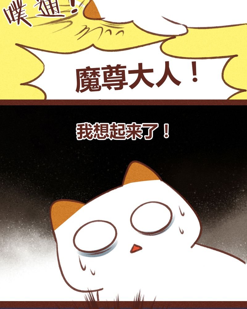 第62章：