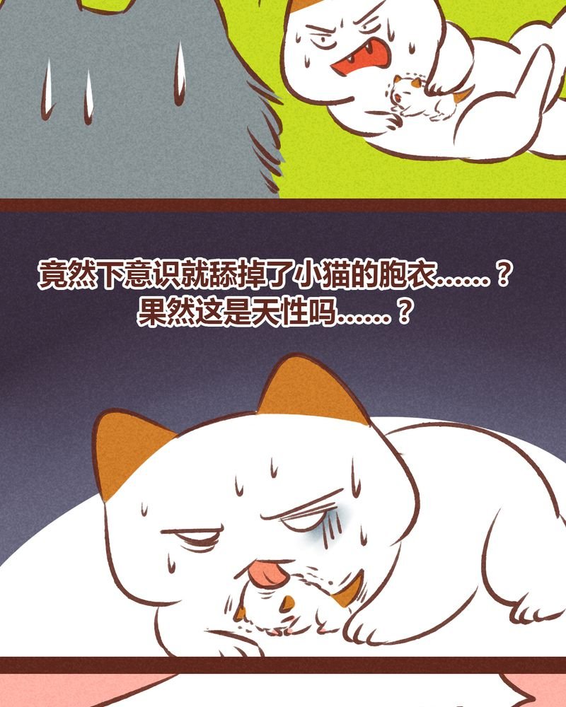 第63章：