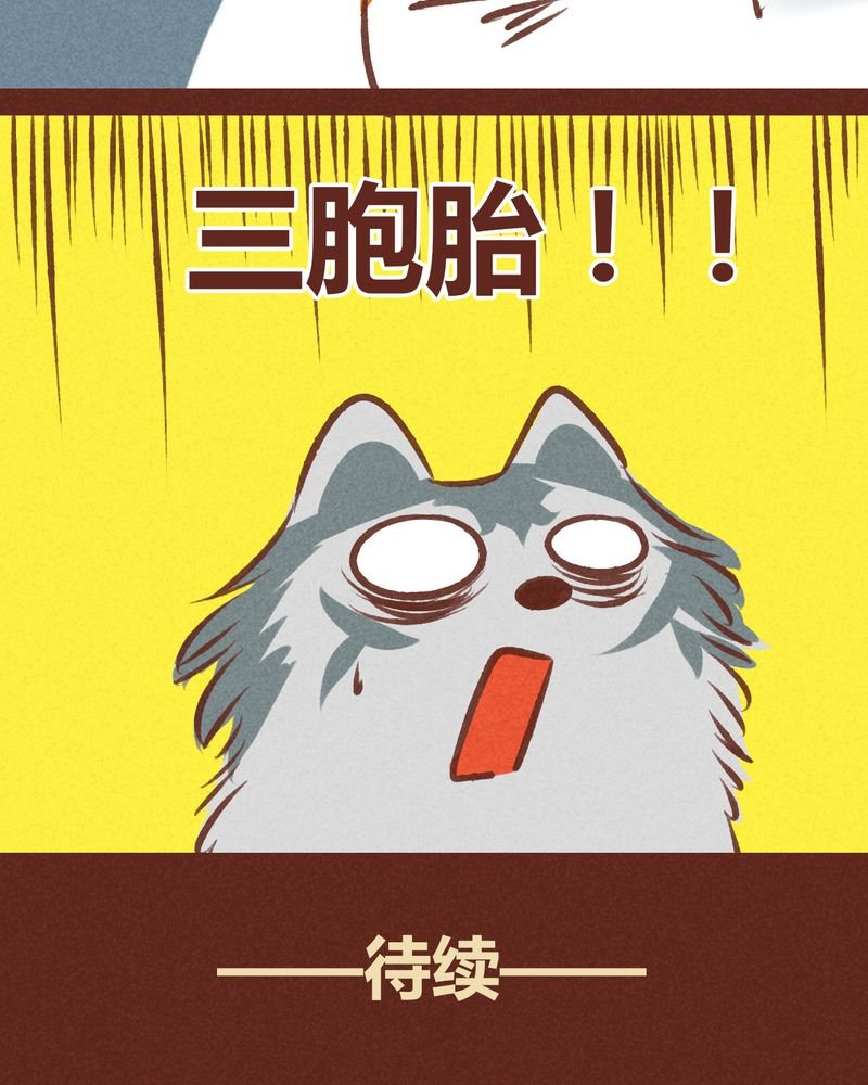 第63章：