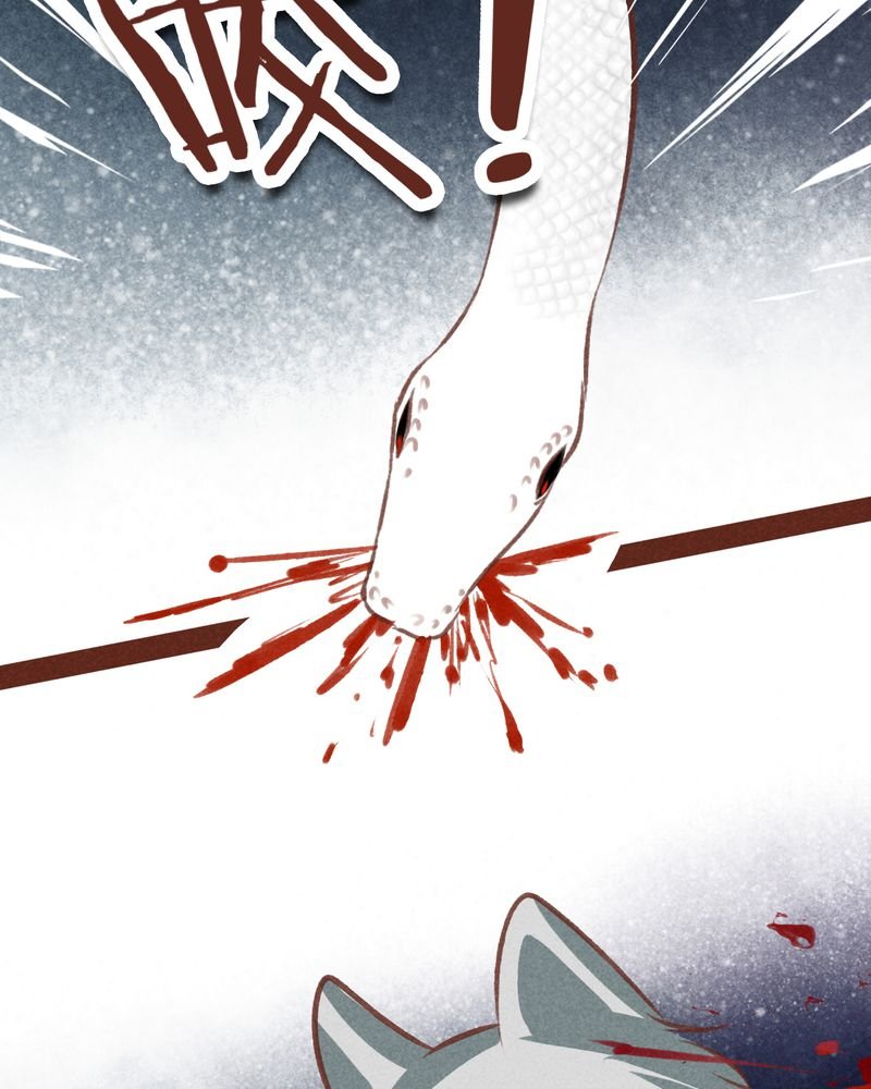 第66章：