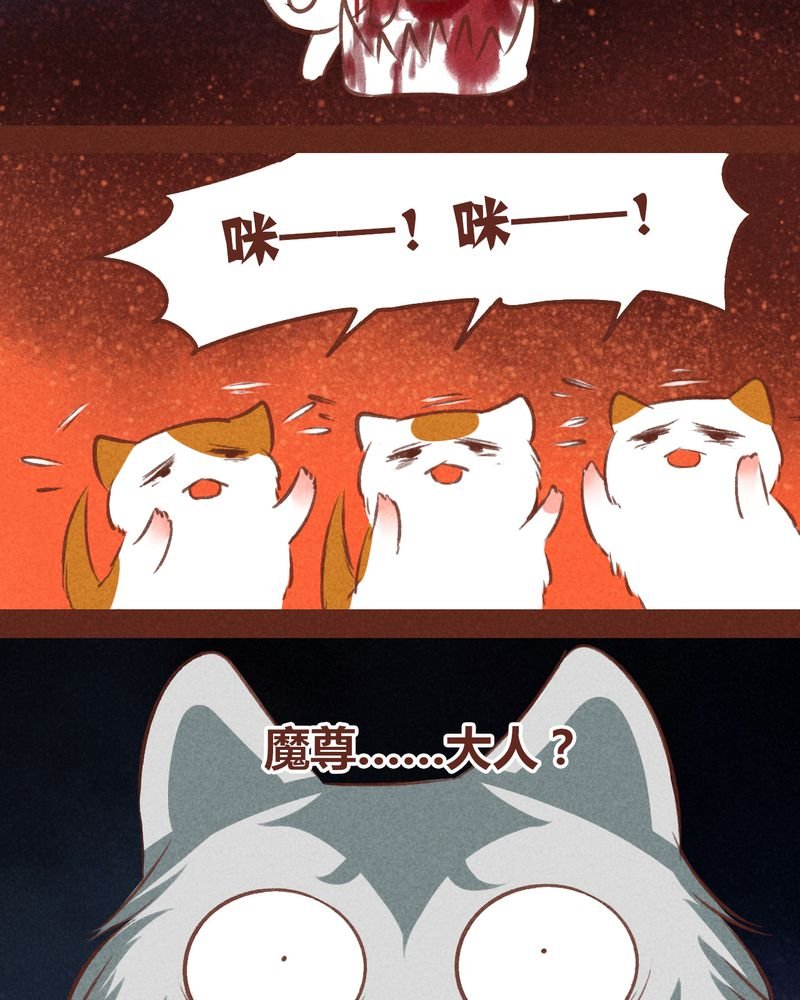 第66章：