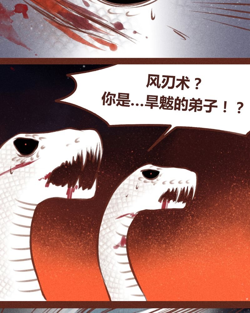 第66章：