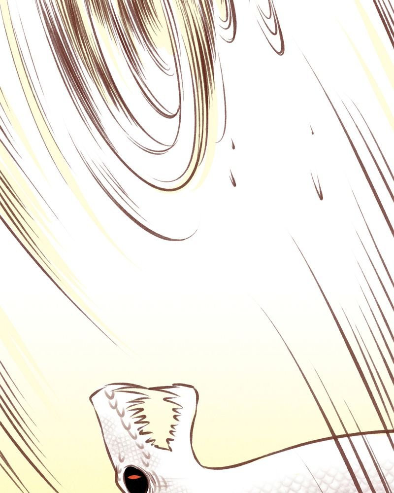 第66章：