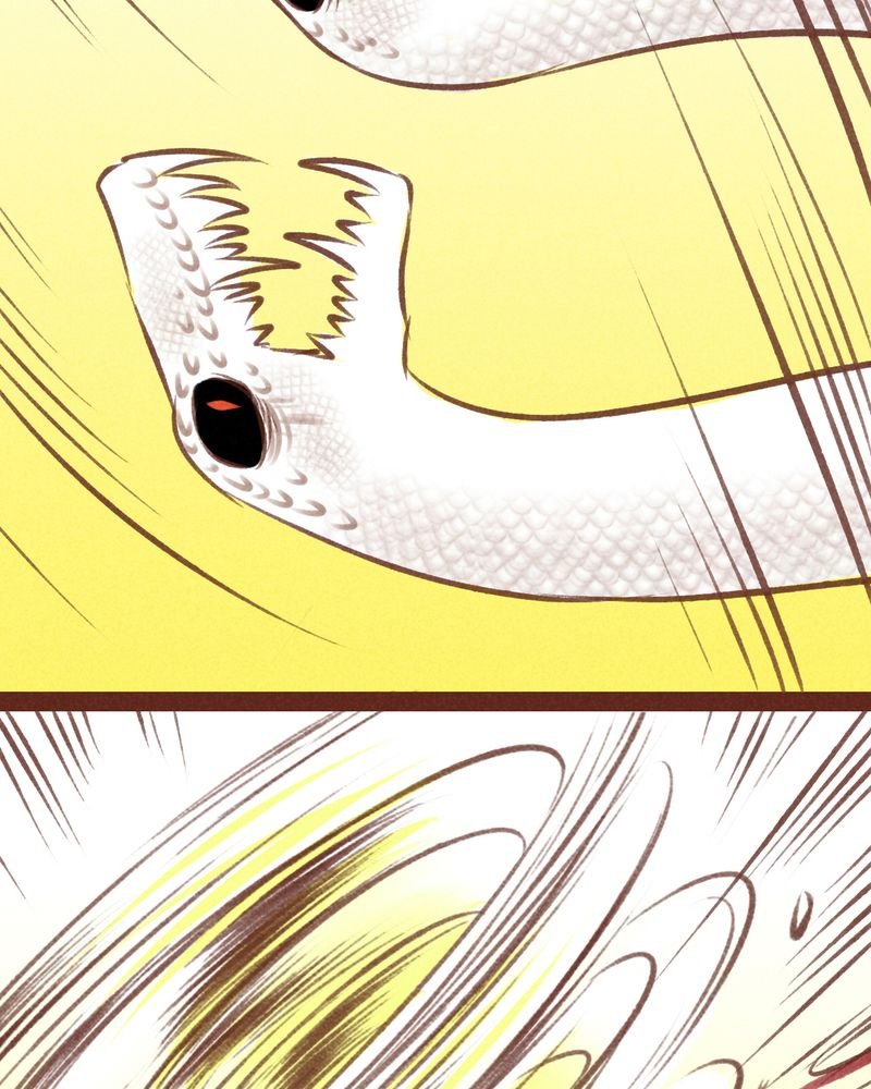 第66章：