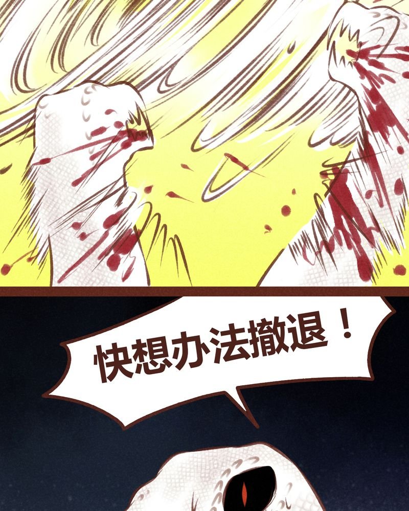 第66章：