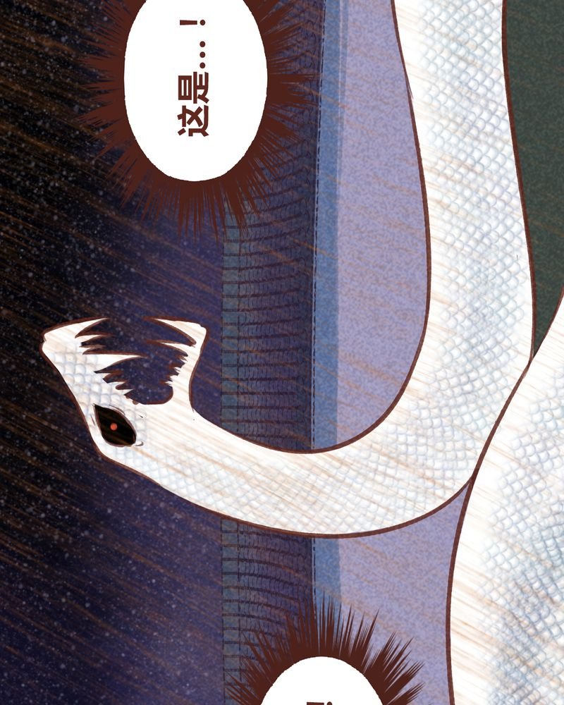 第67章：