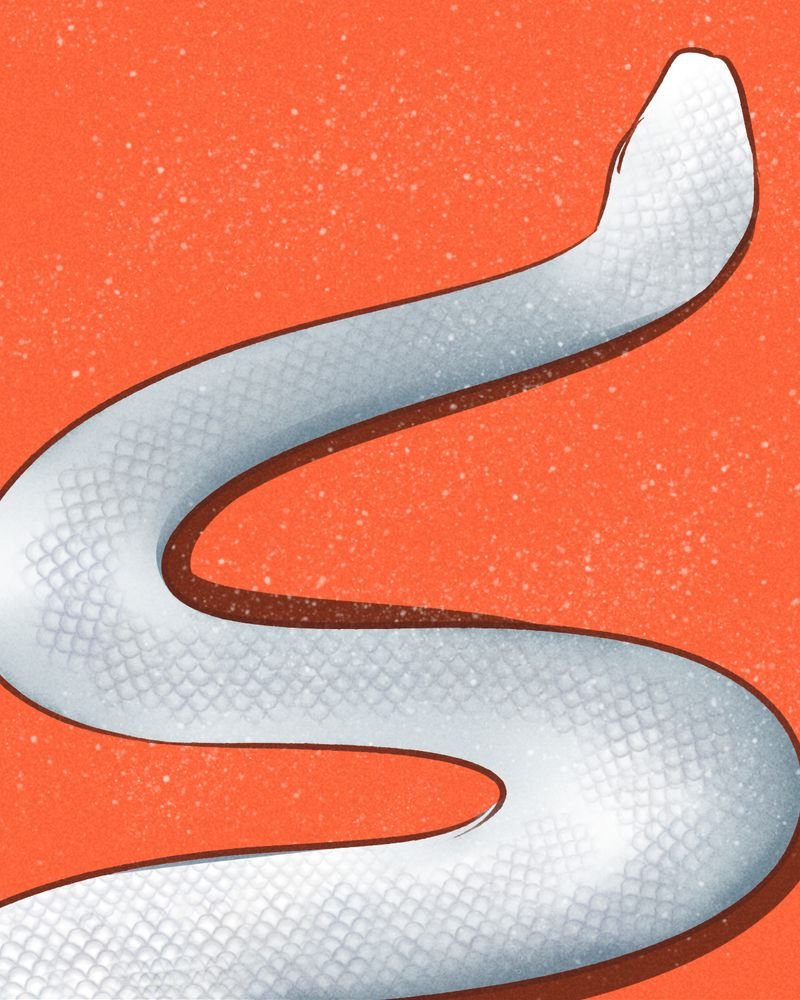 第67章：
