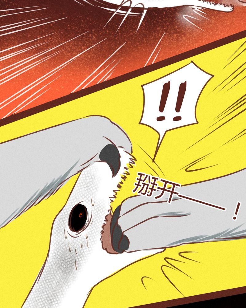 第69章：