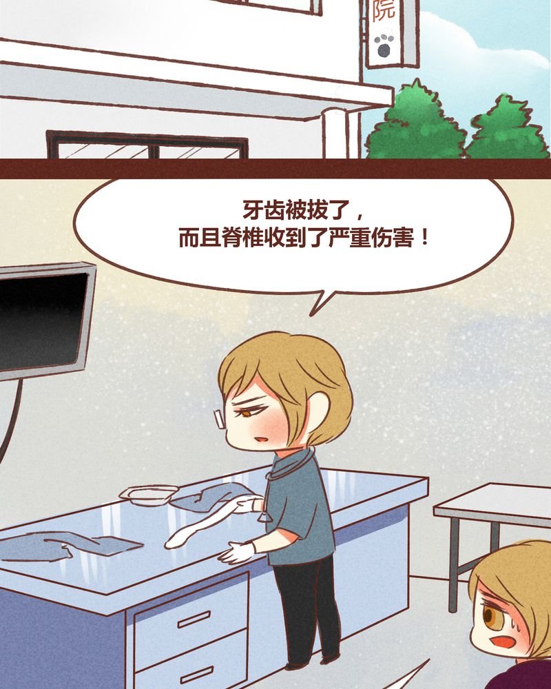 第72章：