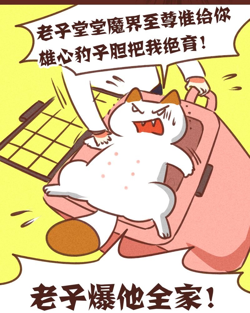第74章：