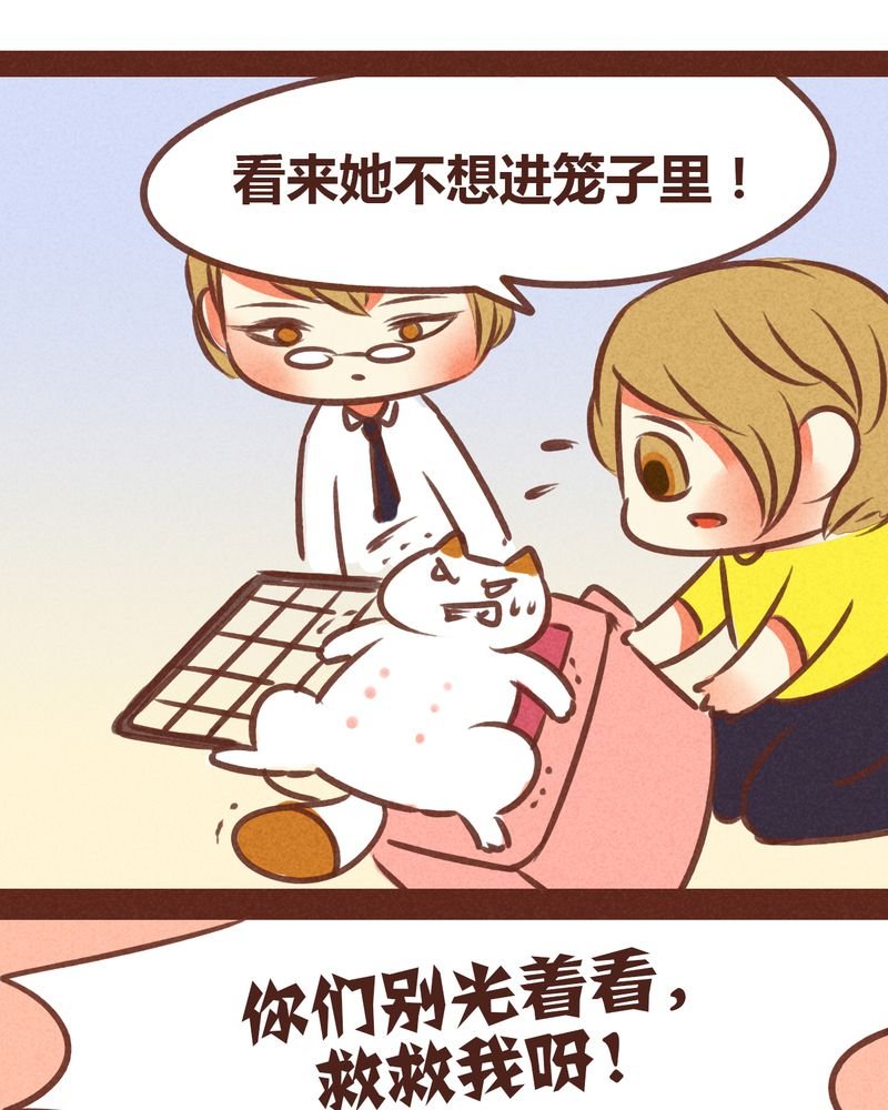 第74章：