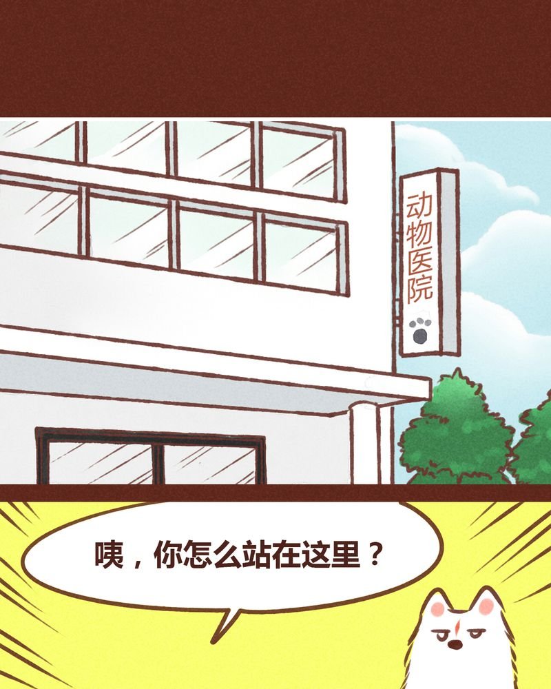 第74章：