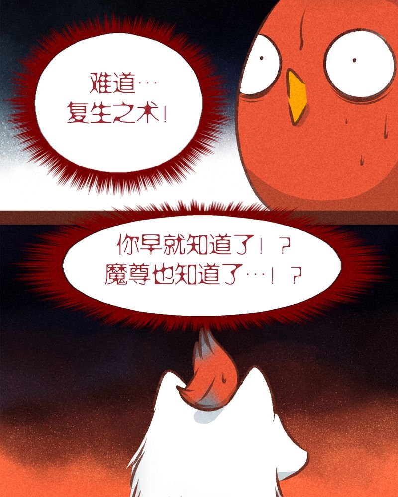 第78章：