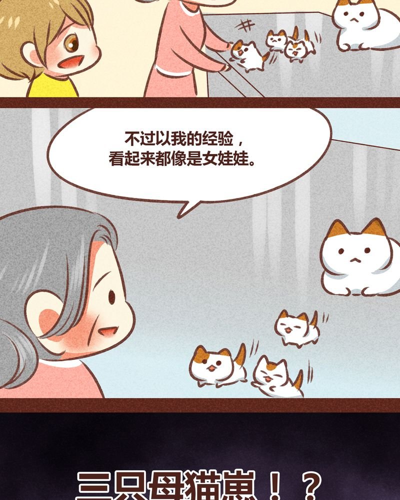 第78章：