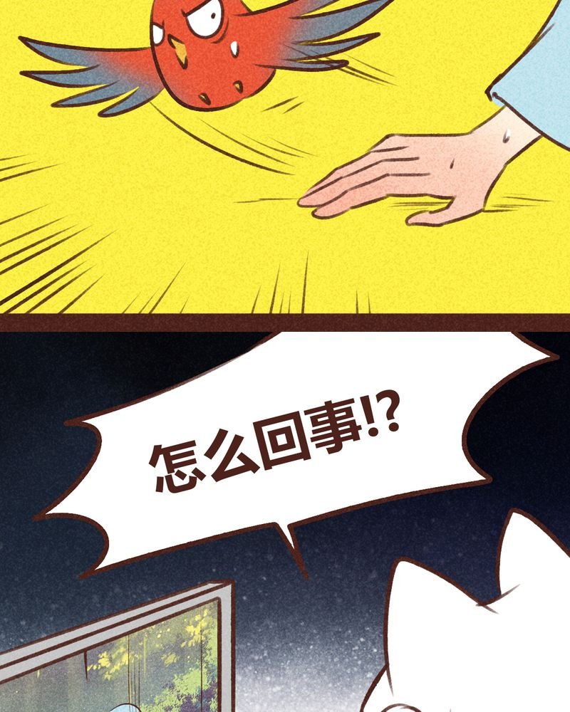 第95章：