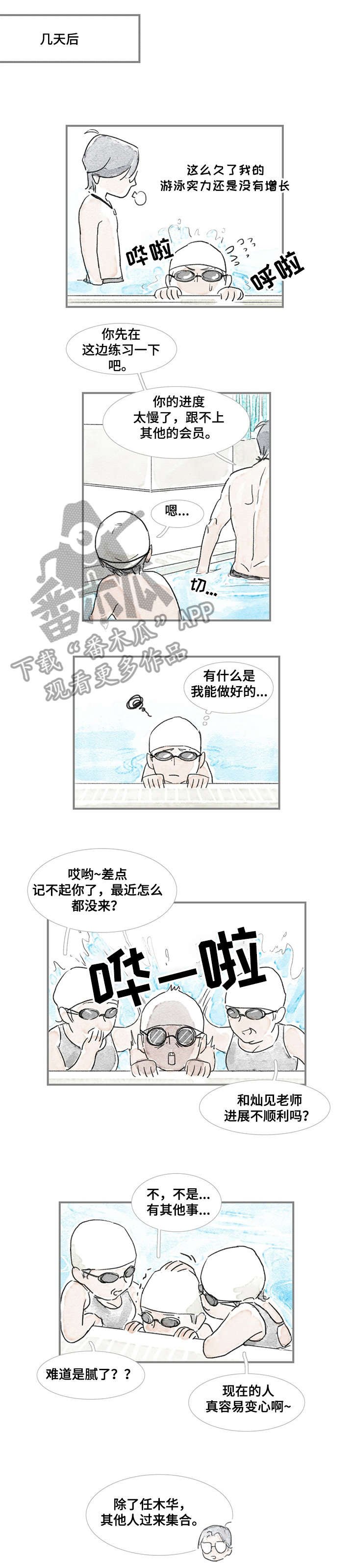 第15章：海豚