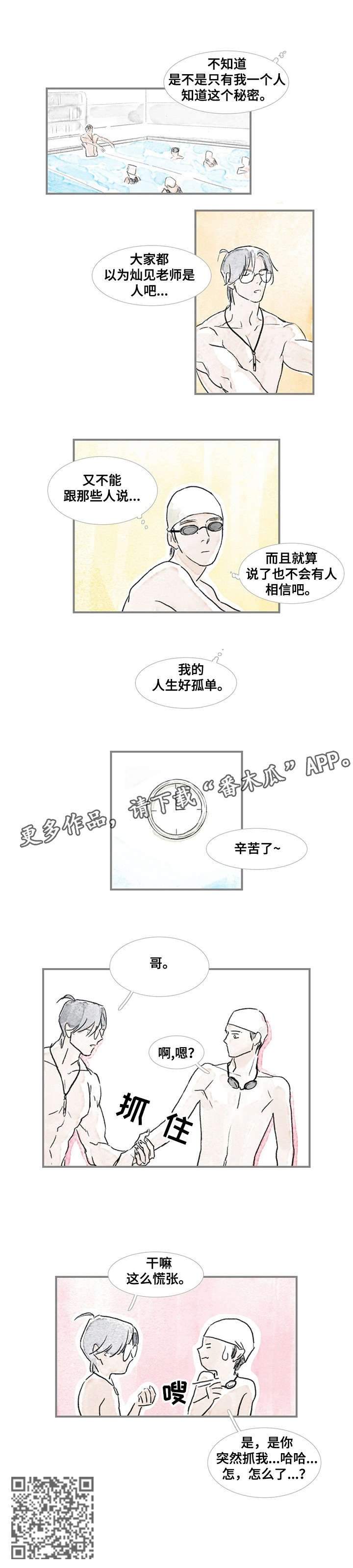 第15章：海豚