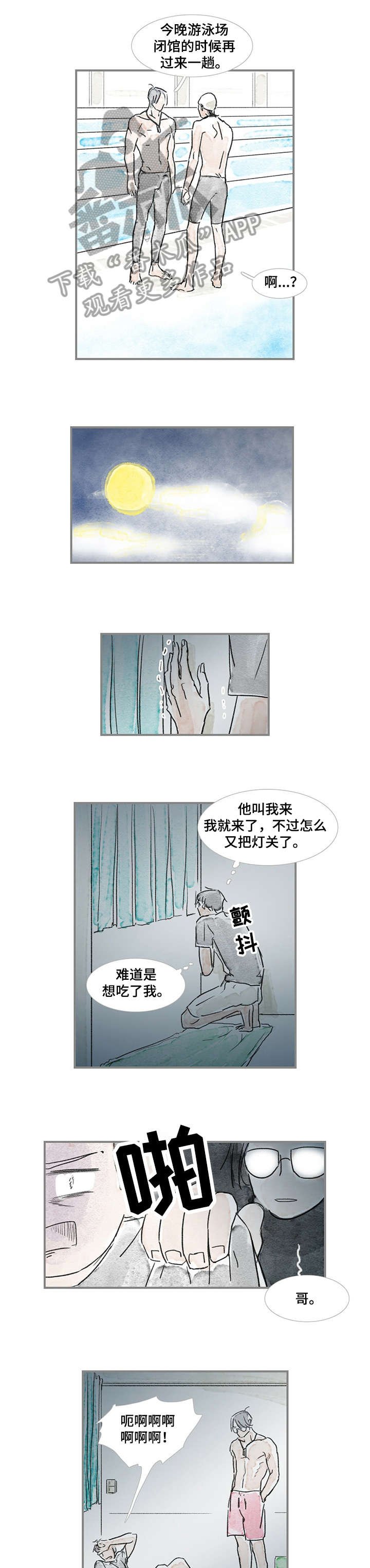 第15章：海豚