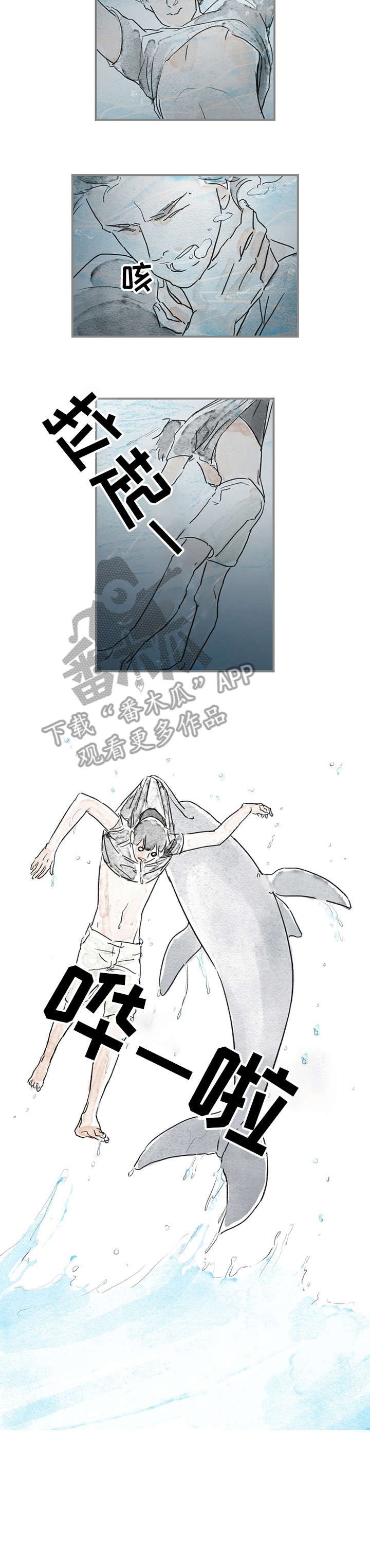 第15章：海豚