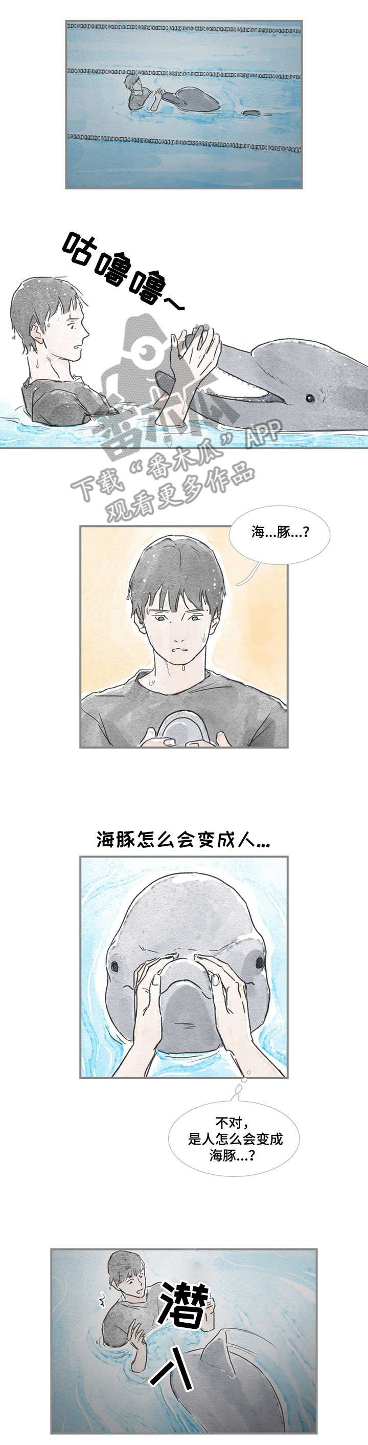 第15章：海豚