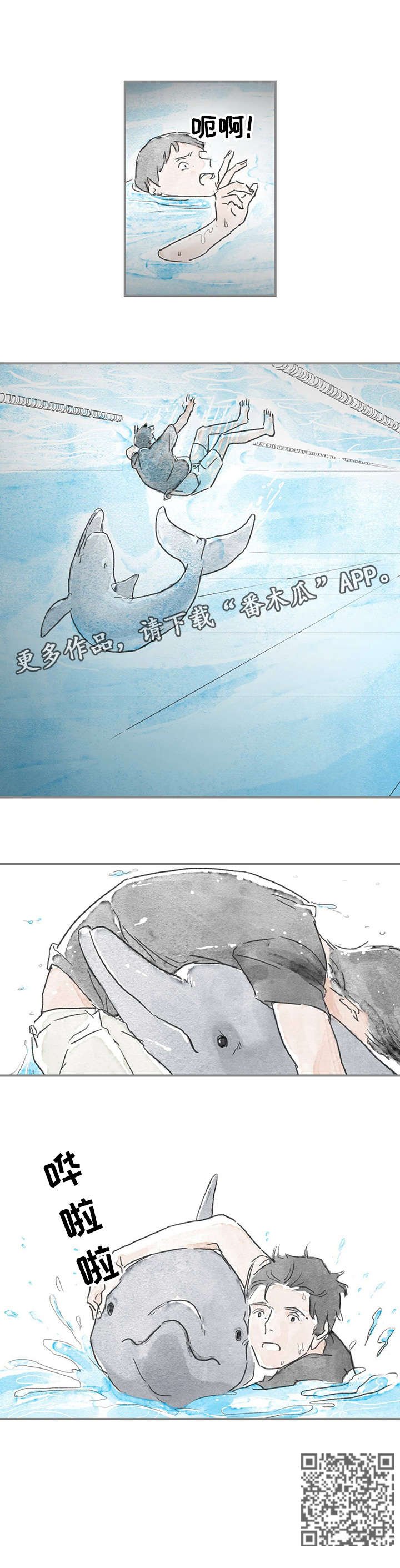 第15章：海豚