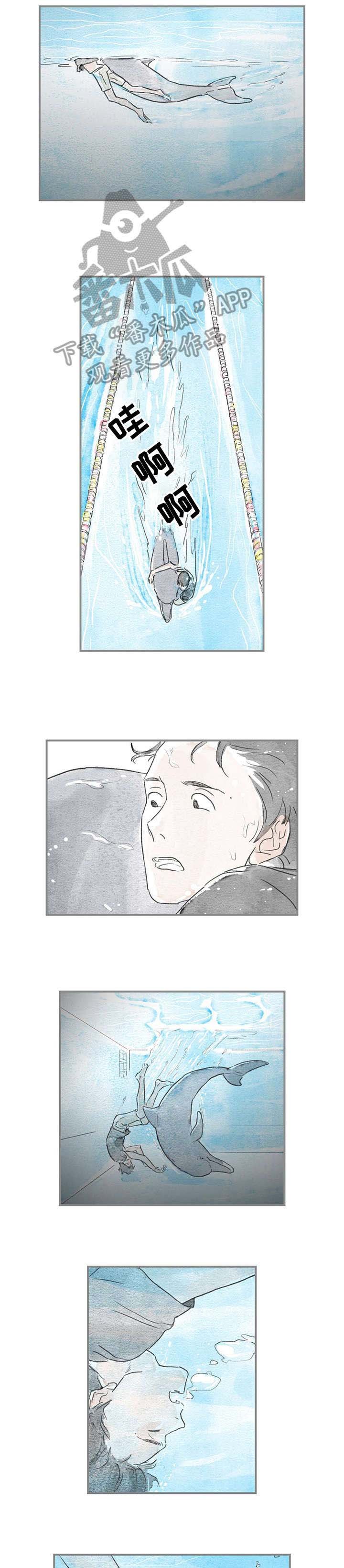 第16章：好奇
