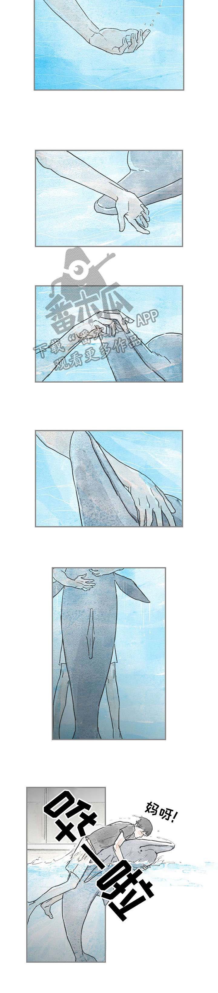 第16章：好奇