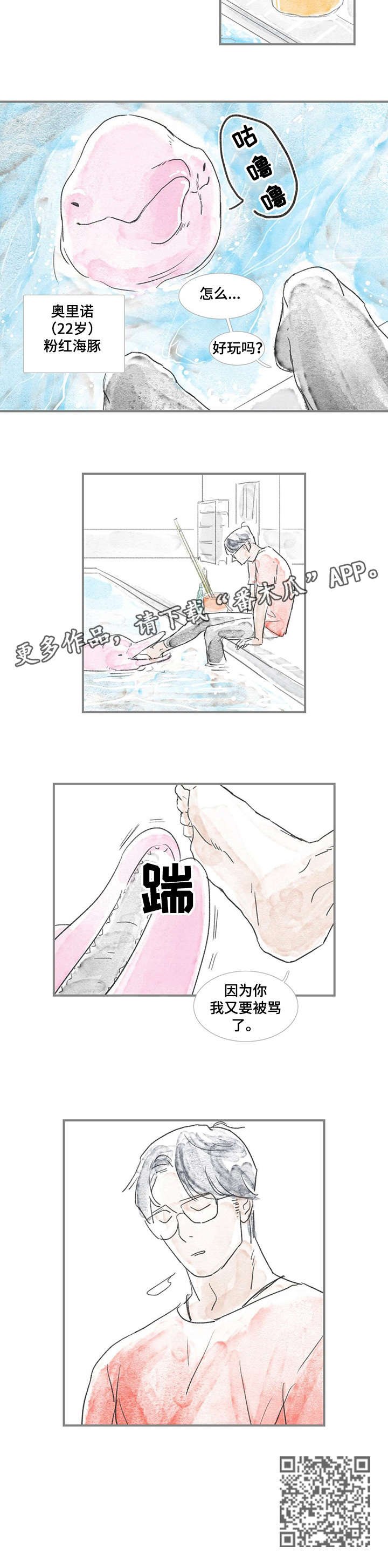 第6章：住所