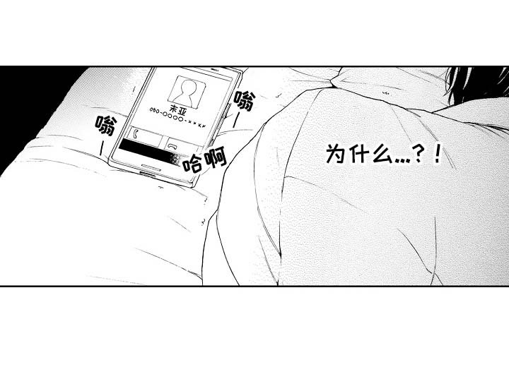 第13章：来电