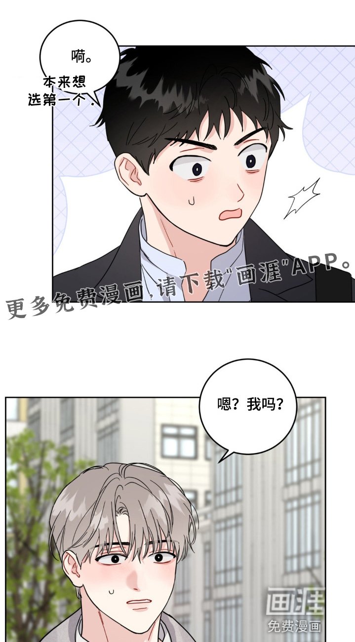 第19章：选项