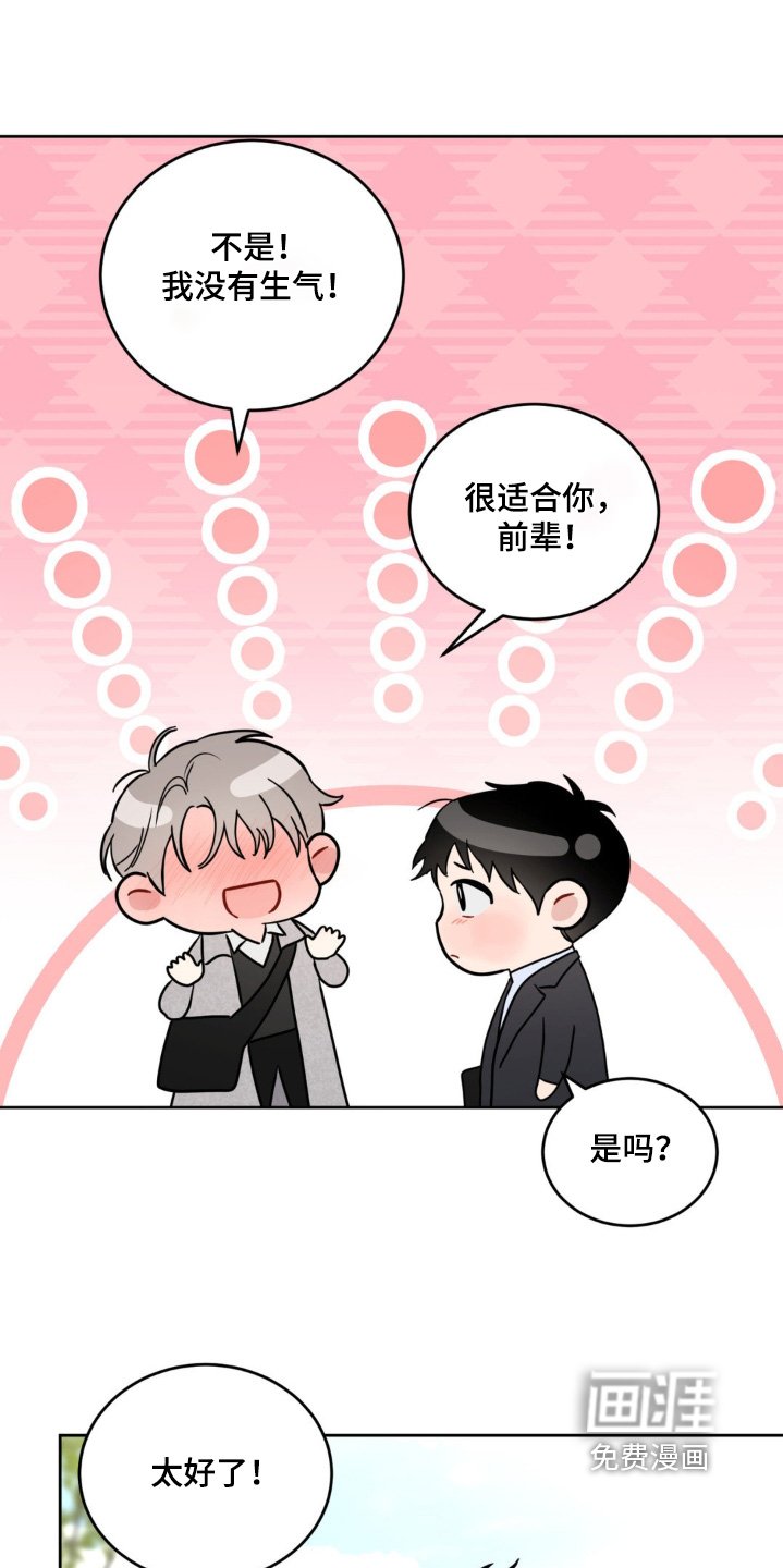 第19章：选项
