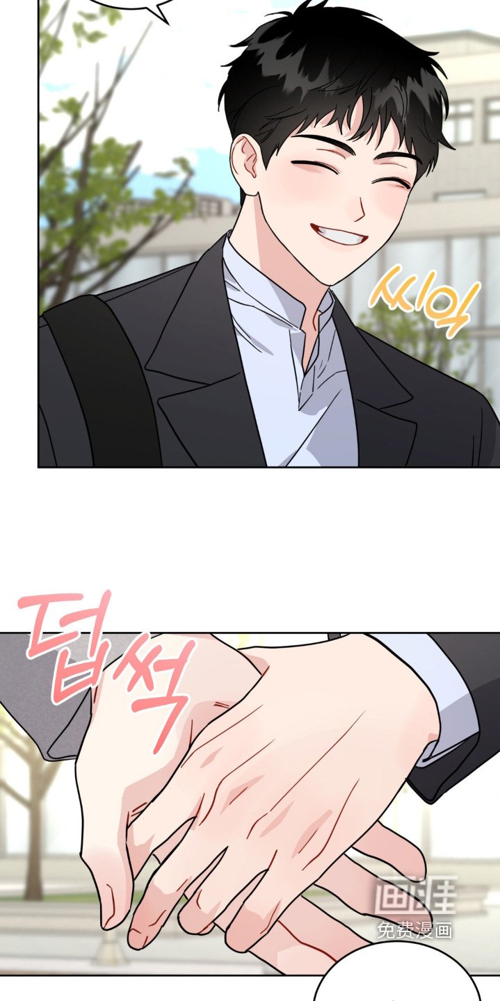 第19章：选项
