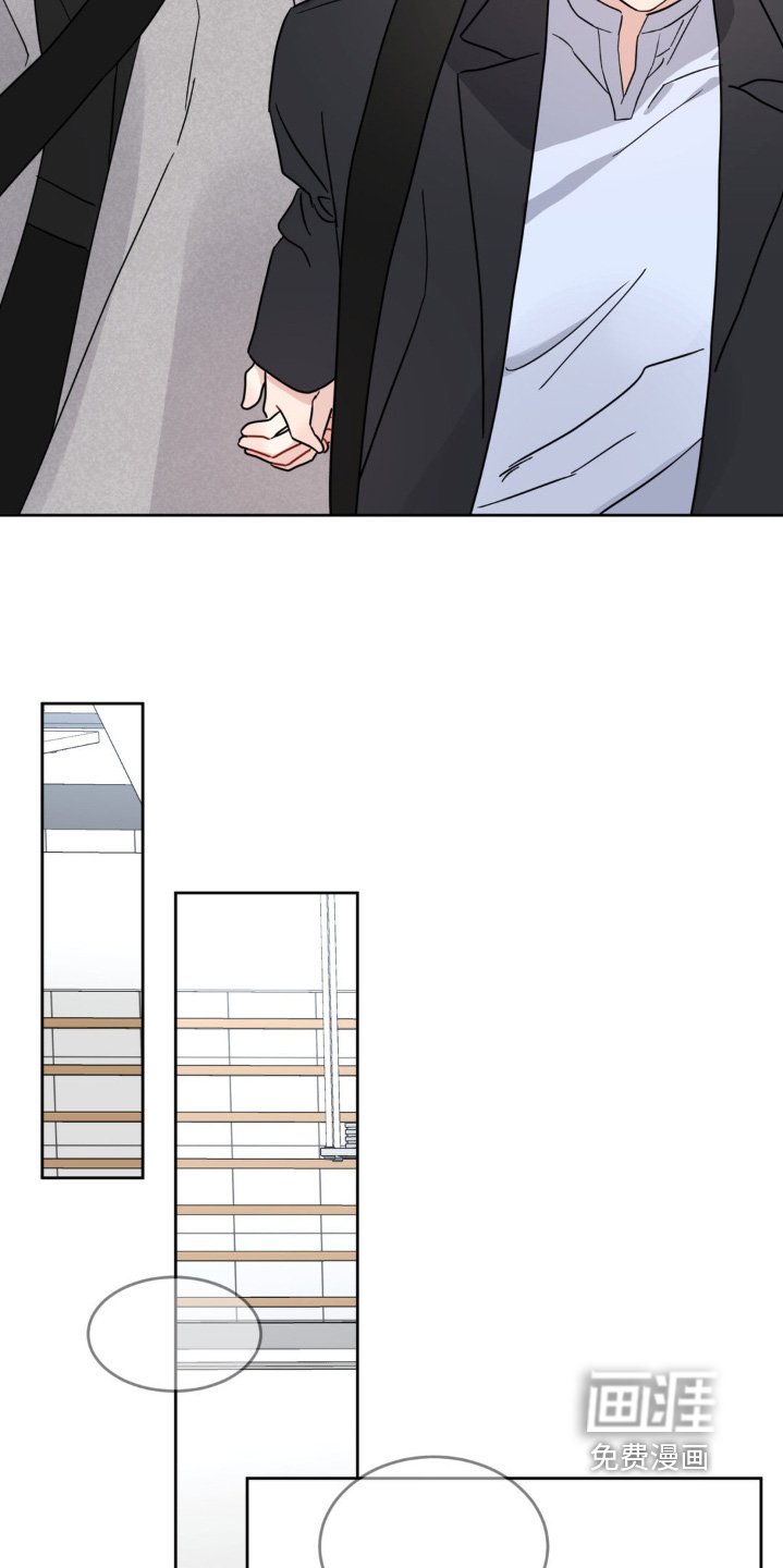 第19章：选项