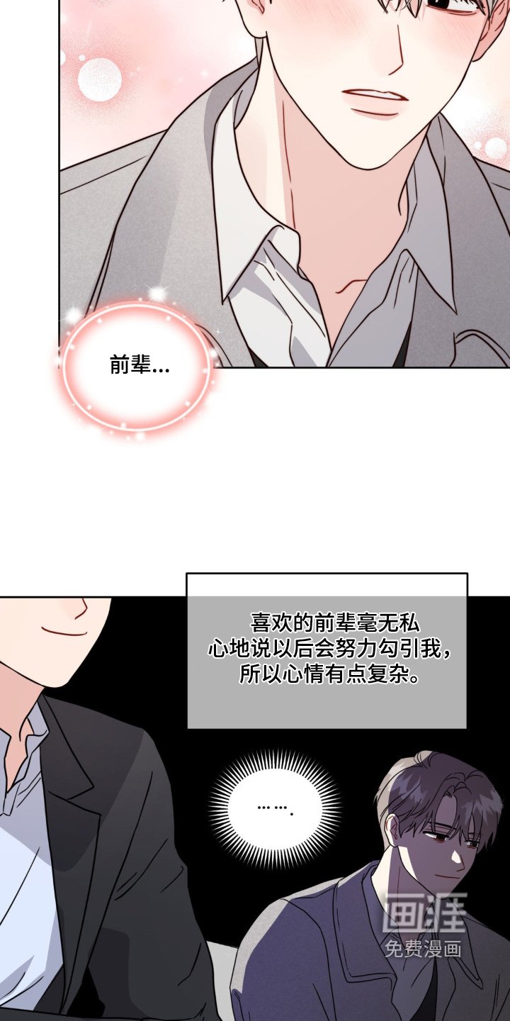 第19章：选项