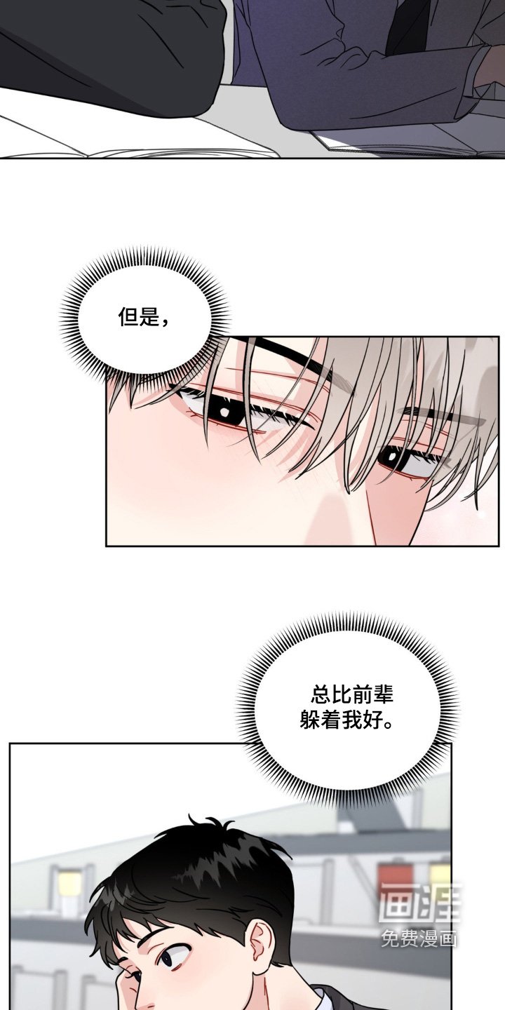 第19章：选项