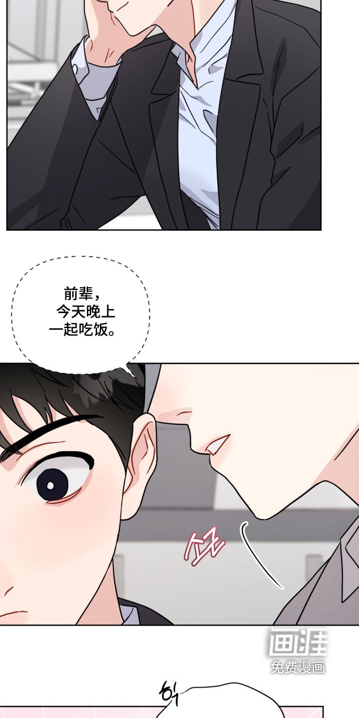 第19章：选项