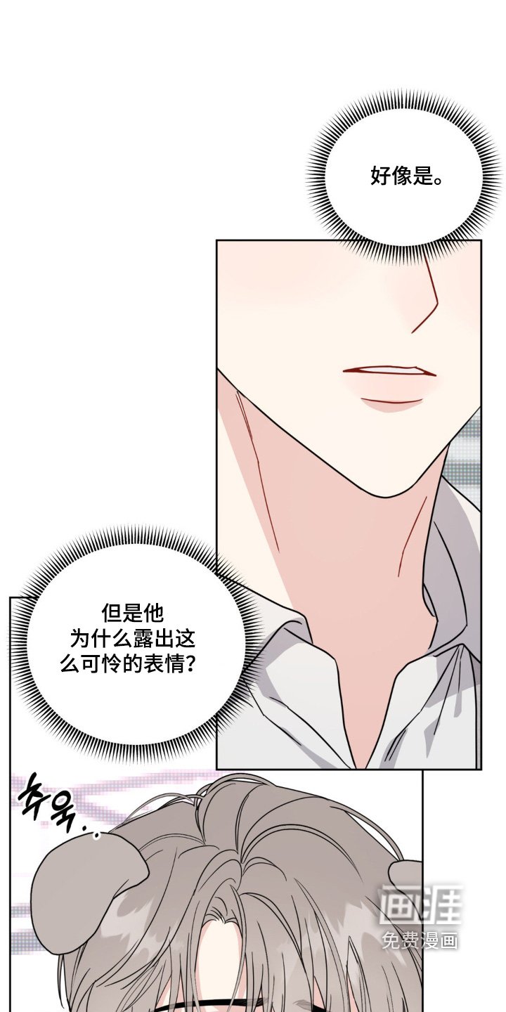 第19章：选项