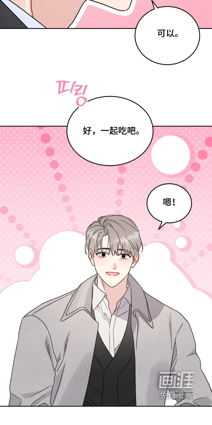 第19章：选项