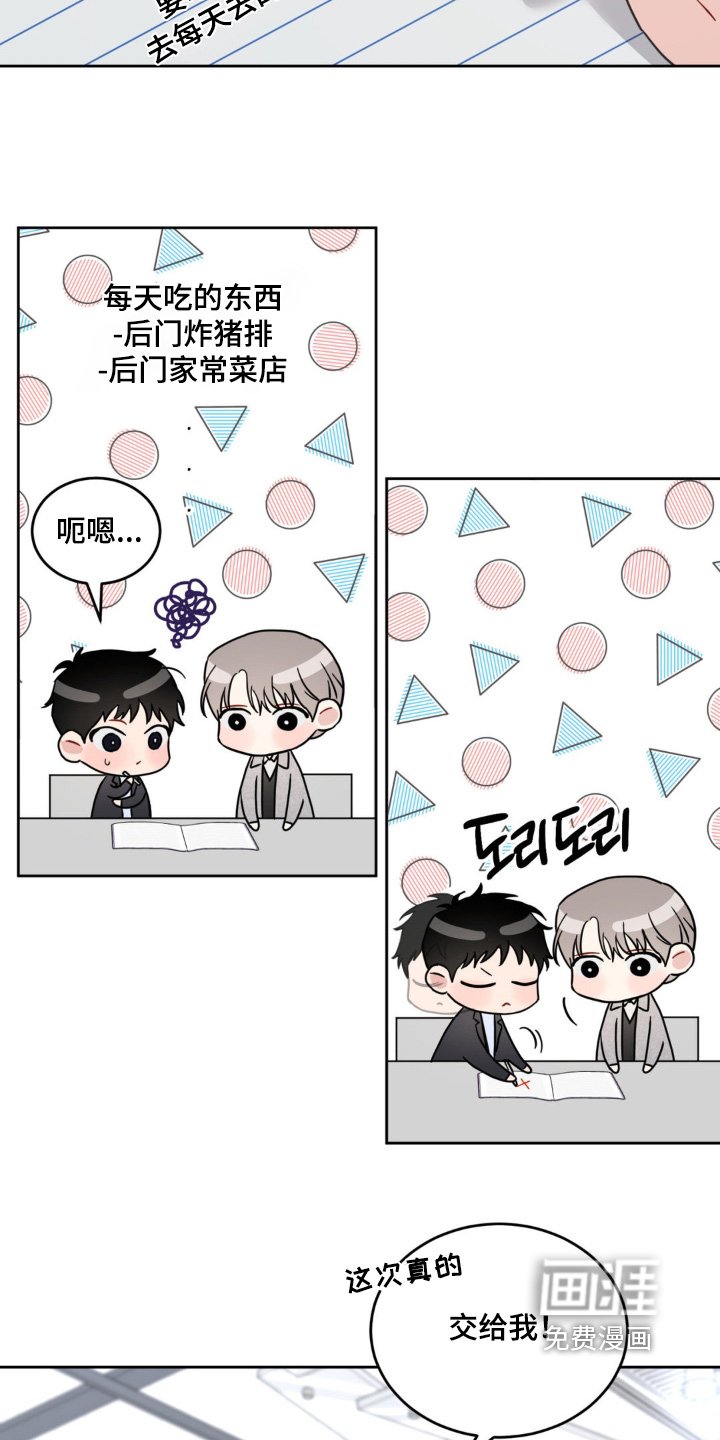 第19章：选项