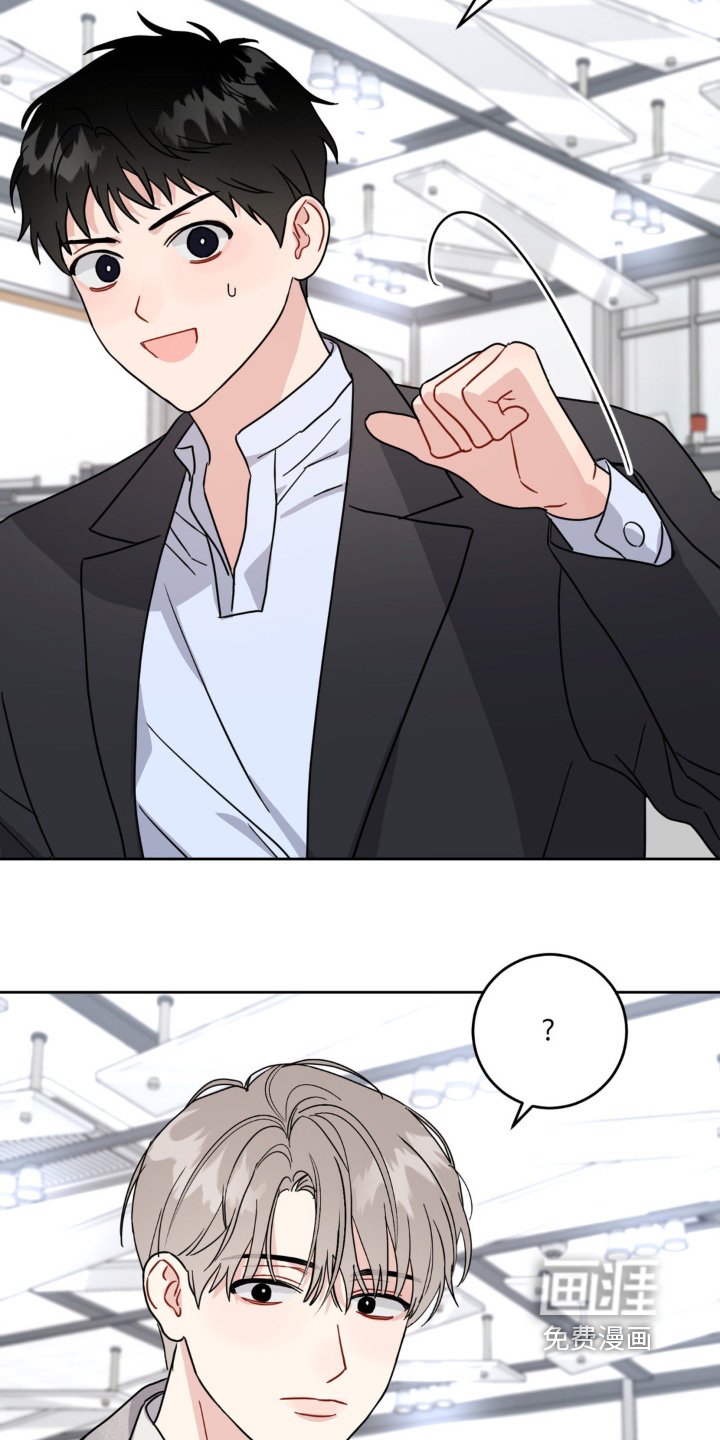 第19章：选项