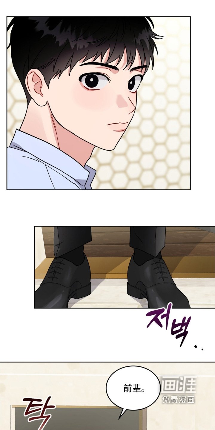 第21章：选项