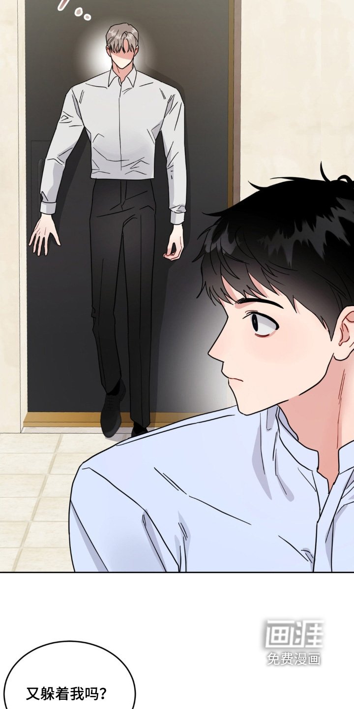 第21章：选项