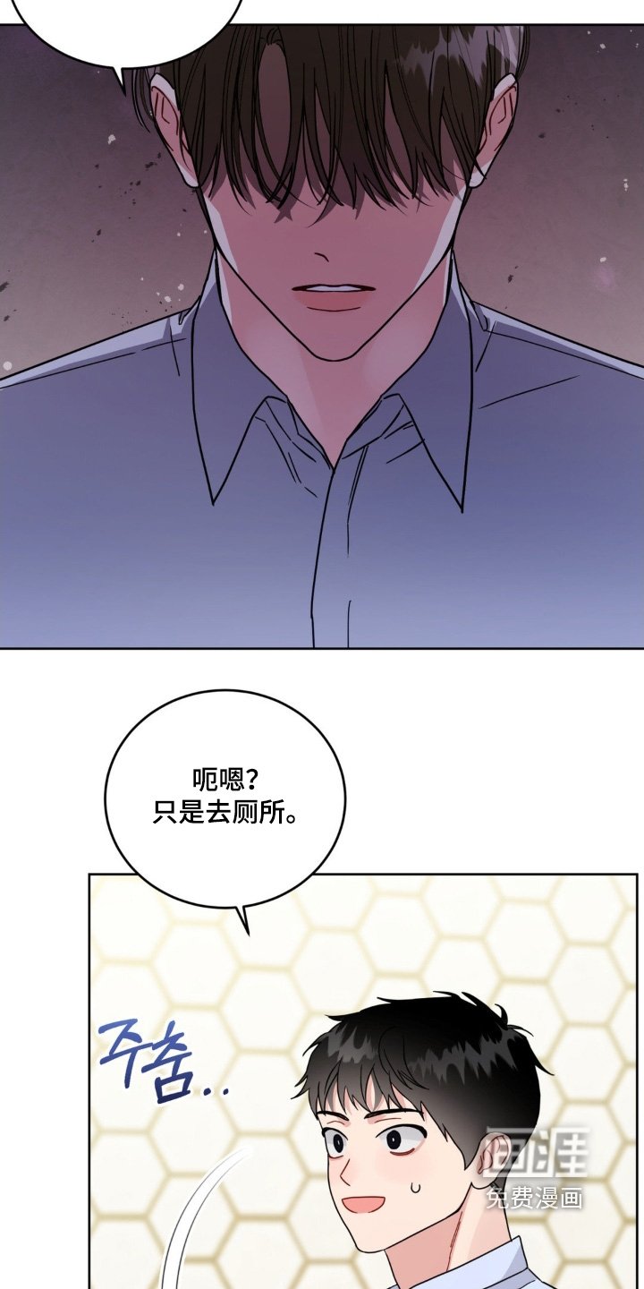 第21章：选项