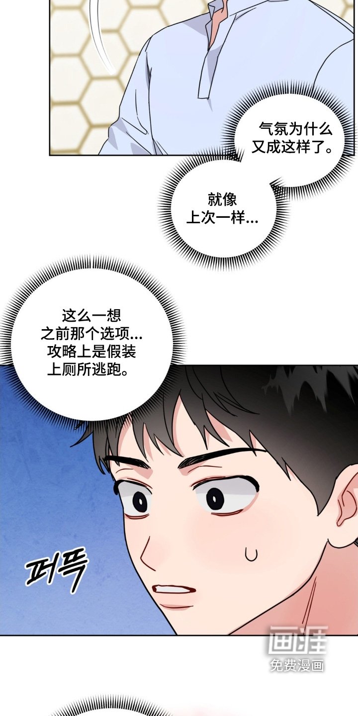 第21章：选项