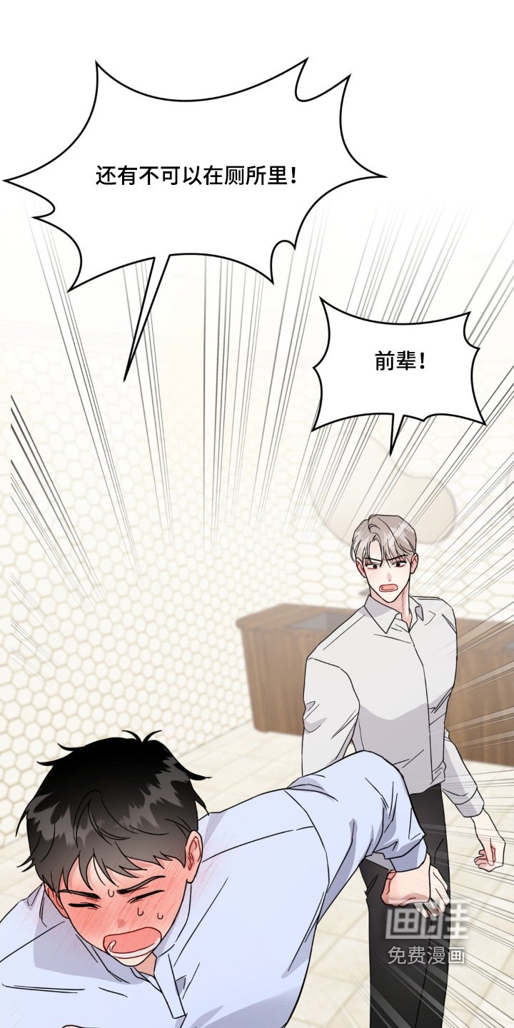 第21章：选项