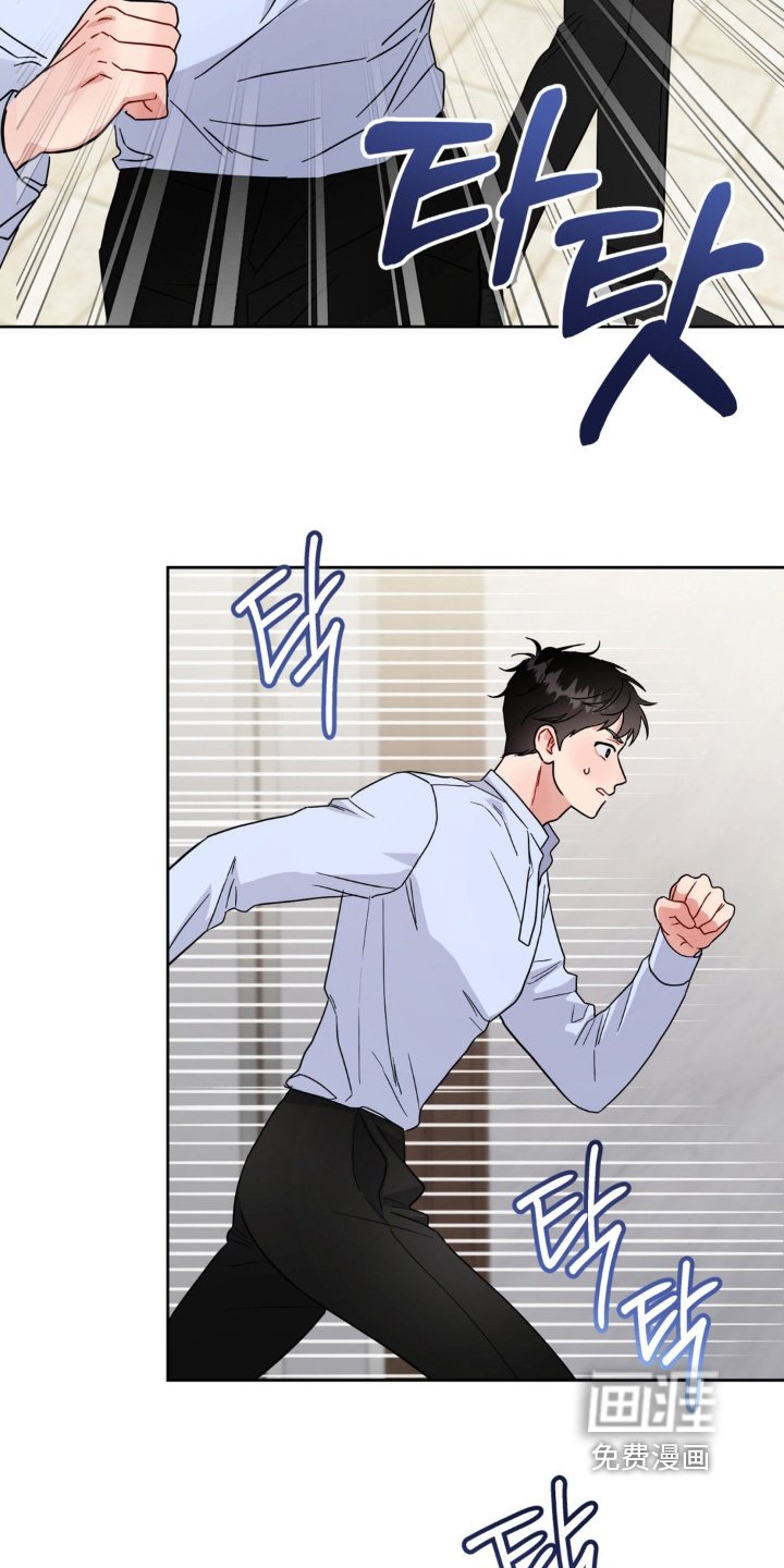 第21章：选项