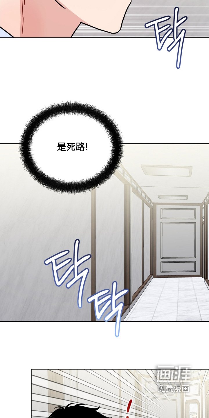 第21章：选项