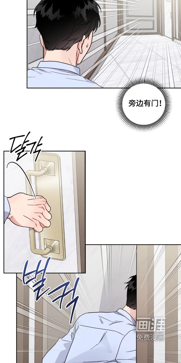 第21章：选项