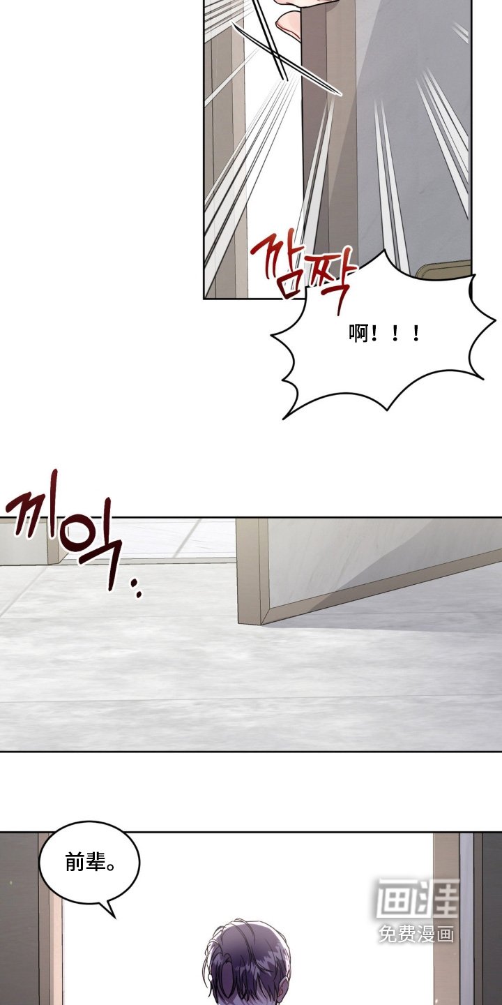 第21章：选项